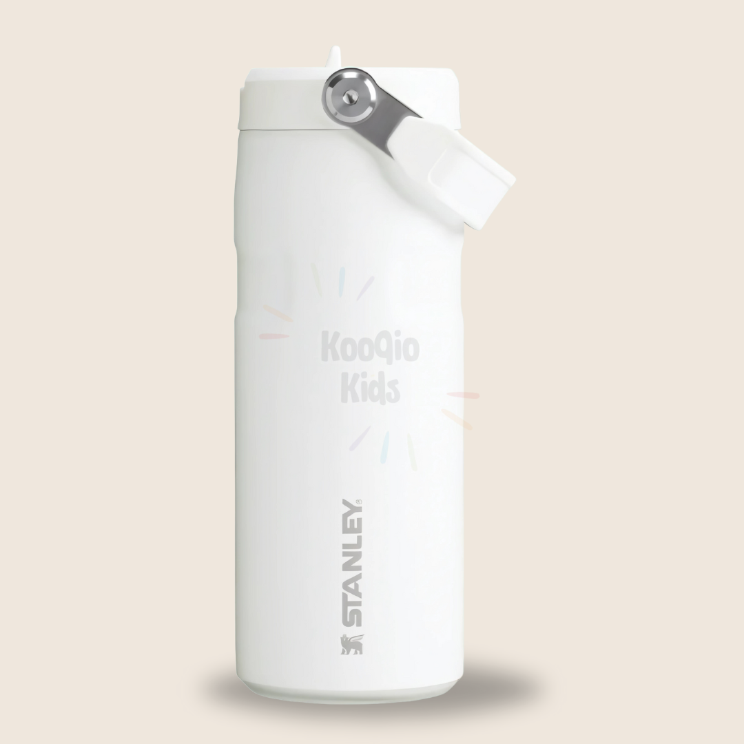 IceFlow Flip Straw 2.0 Bottle - 16 oz Kooqio Kids