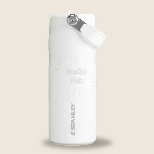 IceFlow Flip Straw 2.0 Bottle - 16 oz Kooqio Kids