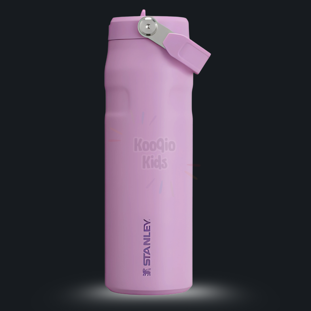 IceFlow Flip Straw 2.0 Bottle - 16 oz Kooqio Kids