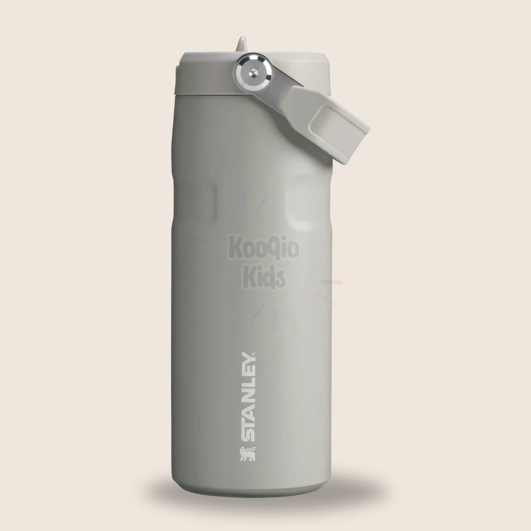IceFlow Flip Straw 2.0 Bottle - 16 oz Kooqio Kids