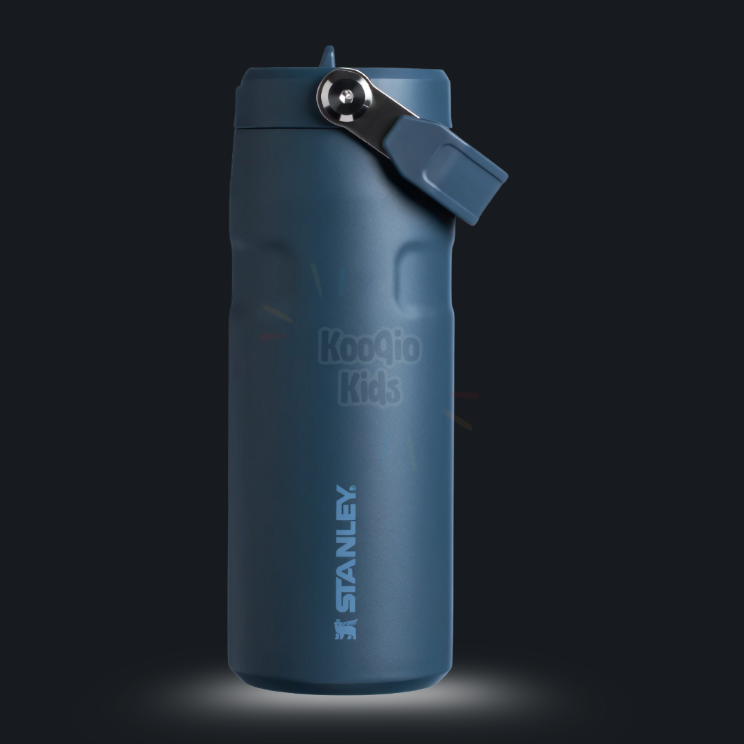 IceFlow Flip Straw 2.0 Bottle - 16 oz Kooqio Kids