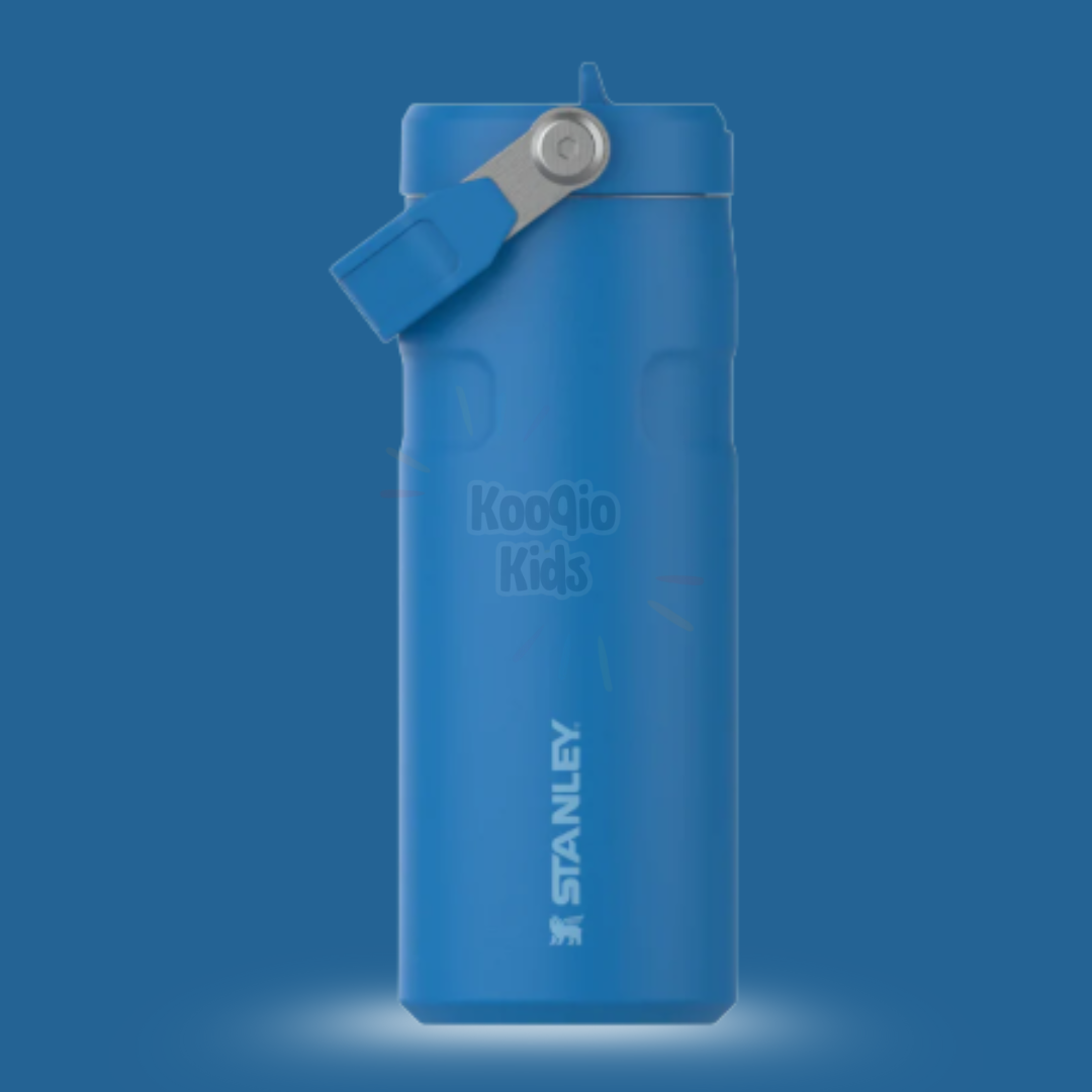IceFlow Flip Straw 2.0 Bottle - 16 oz Kooqio Kids