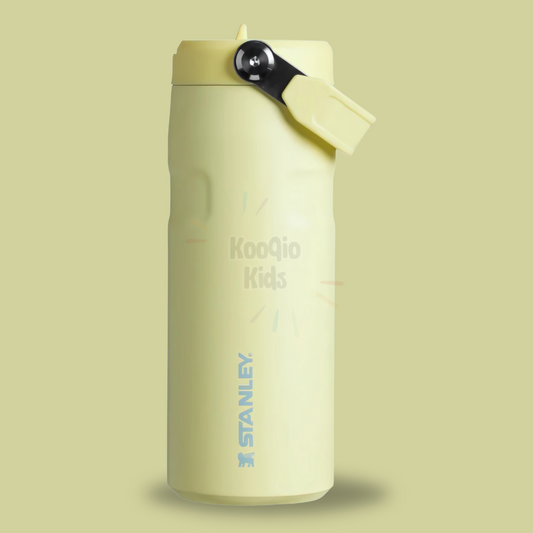 IceFlow Flip Straw 2.0 Bottle - 16 oz Kooqio Kids