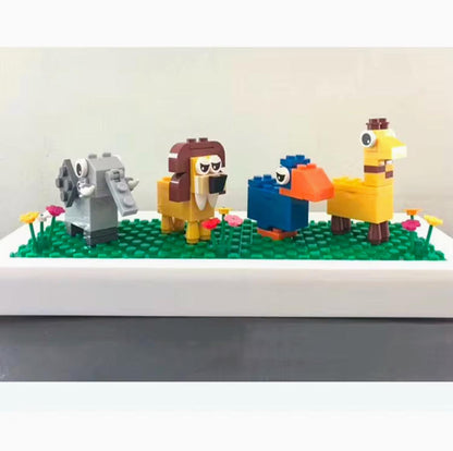 Student Fancy Pencil Sharpener Kooqio Kids